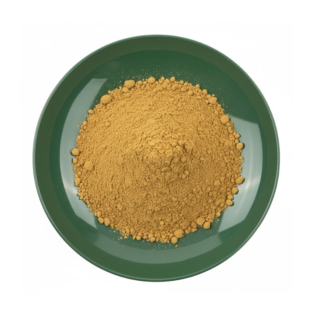 Astragalus Extract Powder