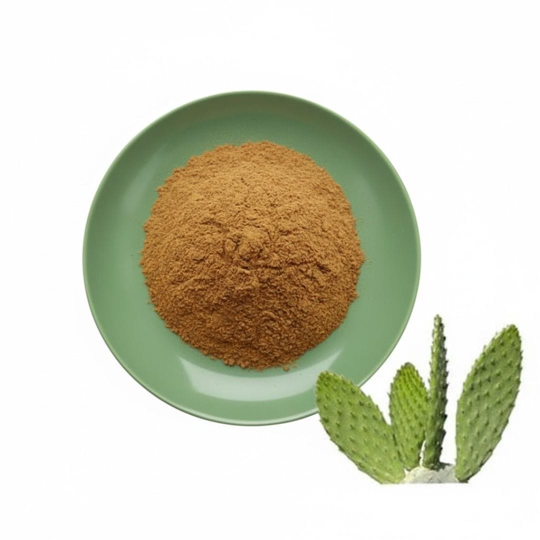Cactus Extract Powder