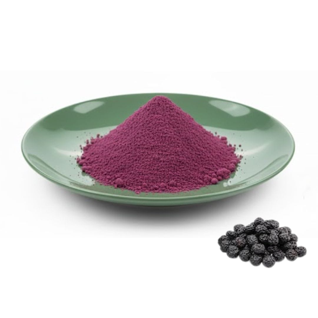 Aronia Extract Powder