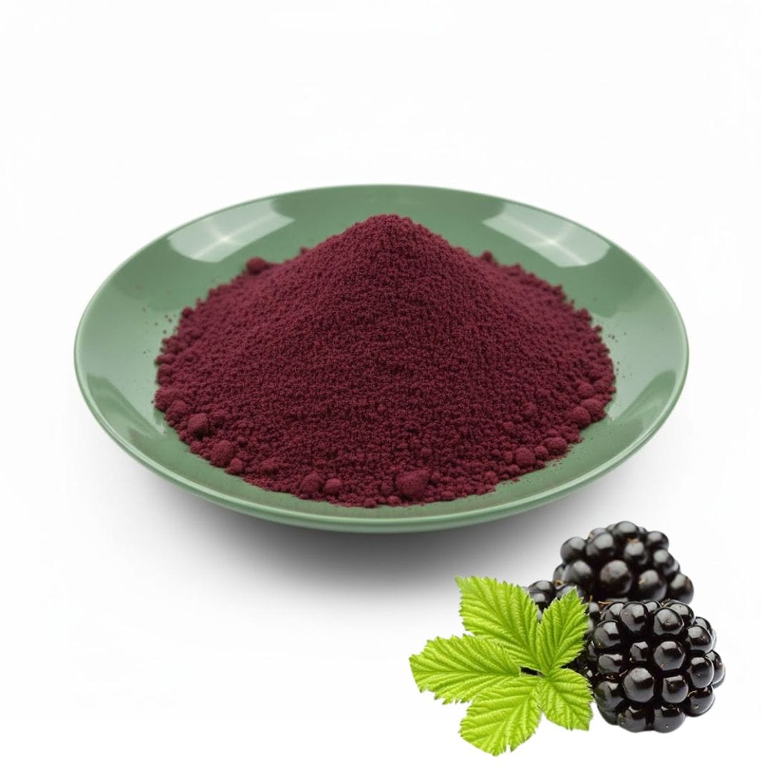 Blackberry Extract Powder