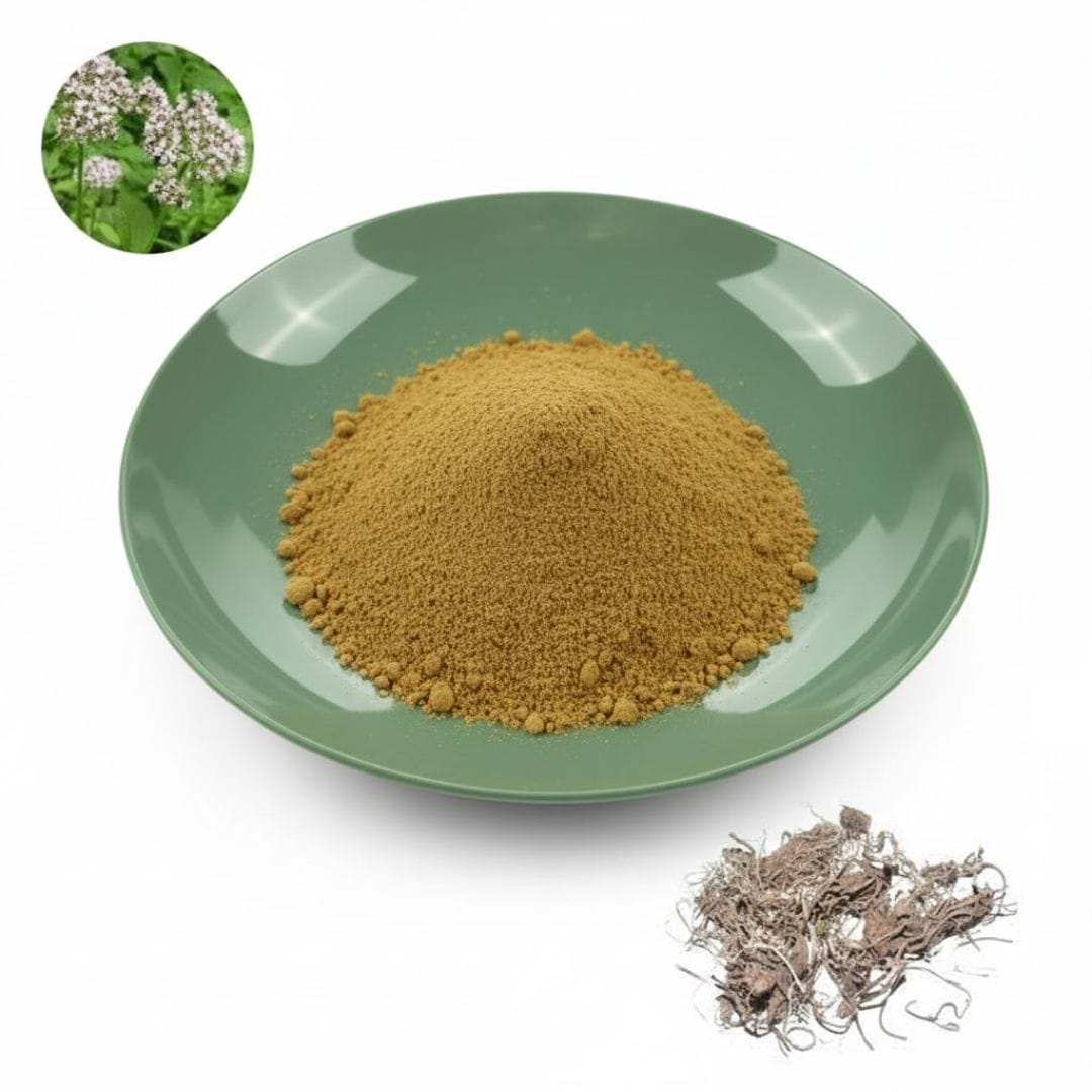 Valerian Root Extract Powder